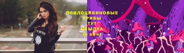 гидра Зерноград