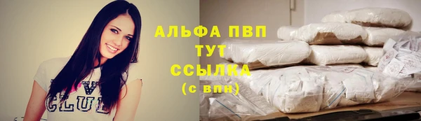 соль ск Зеленодольск