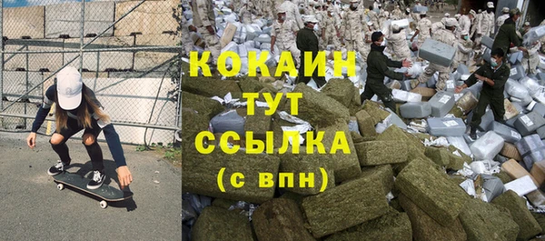 PSILOCYBIN Заволжск